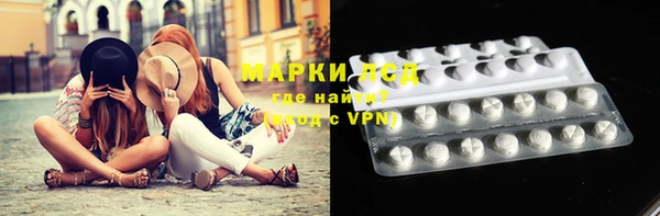 ГАЛЛЮЦИНОГЕННЫЕ ГРИБЫ Алзамай