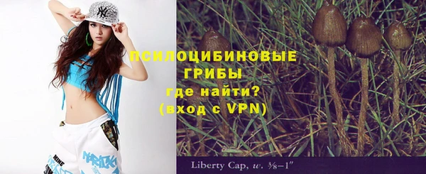 ГАЛЛЮЦИНОГЕННЫЕ ГРИБЫ Алзамай