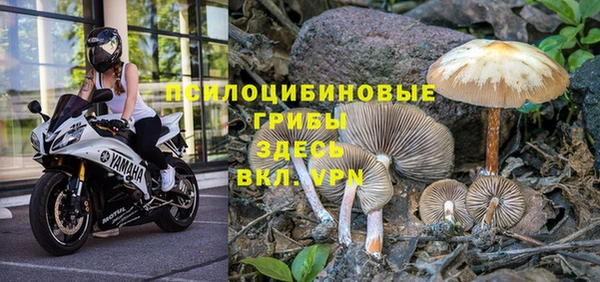 ГАЛЛЮЦИНОГЕННЫЕ ГРИБЫ Алексеевка