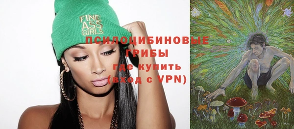 ГАЛЛЮЦИНОГЕННЫЕ ГРИБЫ Алзамай